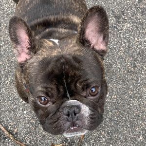 Meet your Posher, Hailey